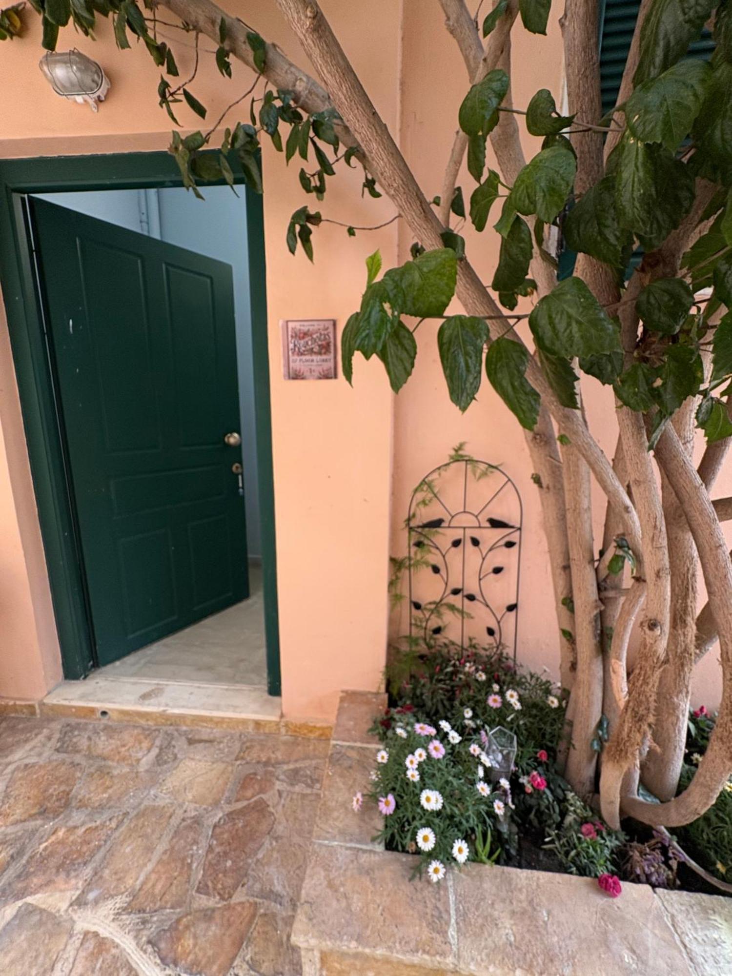 Rouchotas Studios By Viktor 1Rst Floor Argostoli  Buitenkant foto